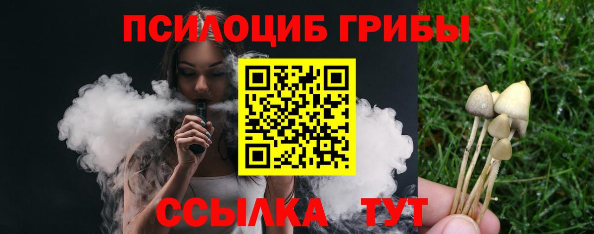 Галлюциногенные грибы Psilocybe  Вход с VPN  цена   Кисловодск 