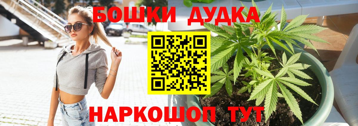 Шишки марихуана ГИДРОПОН Кисловодск